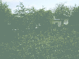 thumb_13576_img9799.jpg