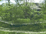 thumb_13576_img9800.jpg