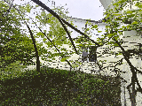 thumb_13579_1000008473.jpg