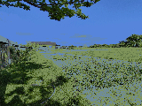 thumb_13580_1000006014.jpg