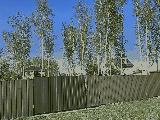 thumb_13581_img9908.jpg