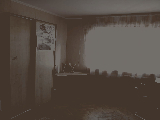 thumb_13586_img9919.jpg