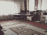 thumb_13586_img9920.jpg