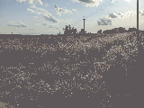 thumb_13587_img9928.jpg