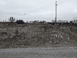 thumb_13587_img9933.jpg