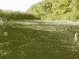 thumb_13591_img9941.jpg