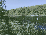 thumb_13591_img9943.jpg