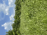 thumb_13595_img1495.jpeg