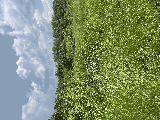 thumb_13595_img1496.jpeg