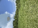 thumb_13595_img1499.jpeg