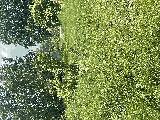thumb_13595_img1505.jpeg