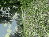 thumb_13595_img1506.jpeg