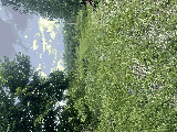 thumb_13595_img1507.jpeg