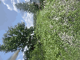 thumb_13595_img1508.jpeg