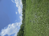 thumb_13595_img1509.jpeg