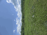 thumb_13595_img1510.jpeg