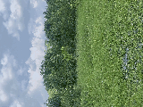 thumb_13595_img1511.jpeg