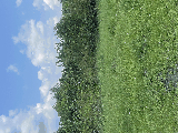 thumb_13595_img1512.jpeg