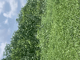 thumb_13595_img1513.jpeg