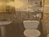 thumb_13599_img1178.jpeg
