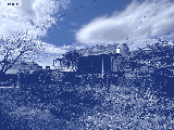 thumb_13607_1000006555.jpg