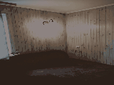 thumb_13609_img1262.jpeg