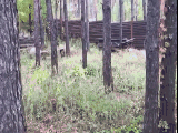 thumb_13615_1000007082.jpg