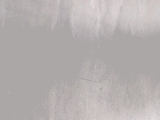 thumb_13615_1000007085.jpg