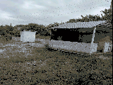 thumb_13617_1000007140.jpg