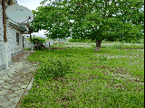 thumb_13617_1000007141.jpg