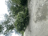 thumb_13619_img1458.jpeg