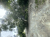 thumb_13619_img1459.jpeg