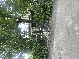 thumb_13619_img1460.jpeg
