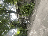 thumb_13619_img1461.jpeg