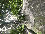thumb_13619_img1464.jpeg