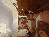 thumb_13619_img1466.jpeg