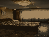 thumb_13625_1000039820.jpg