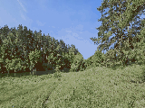 thumb_13630_img1776.jpg