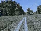 thumb_13630_img1777.jpg