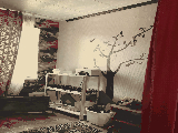 thumb_13634_img1677.jpeg