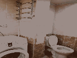 thumb_13637_1000040368.jpg