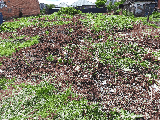 thumb_13640_img20250614122601.jpg