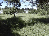 thumb_13657_img2733.jpg