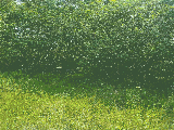 thumb_13667_0020516a1703f33354e20d08ed6ddb0f967b52a00df48fc0851562cd335603751cf0ceea241ffcc62a9c8.jpg