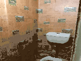 thumb_13672_1000008725.jpg