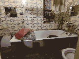 thumb_13707_1000009484.jpg