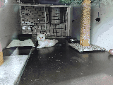 thumb_13716_1000019162.jpg