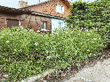 thumb_13717_1000019170.jpg