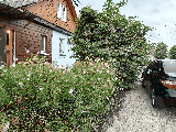 thumb_13717_1000019171.jpg
