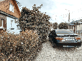 thumb_13717_1000019173.jpg